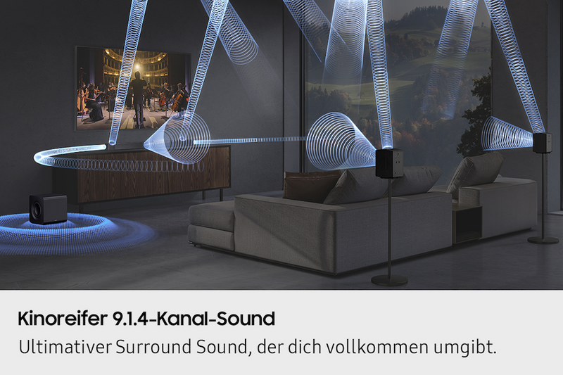 65 Zoll TV + Soundsystem